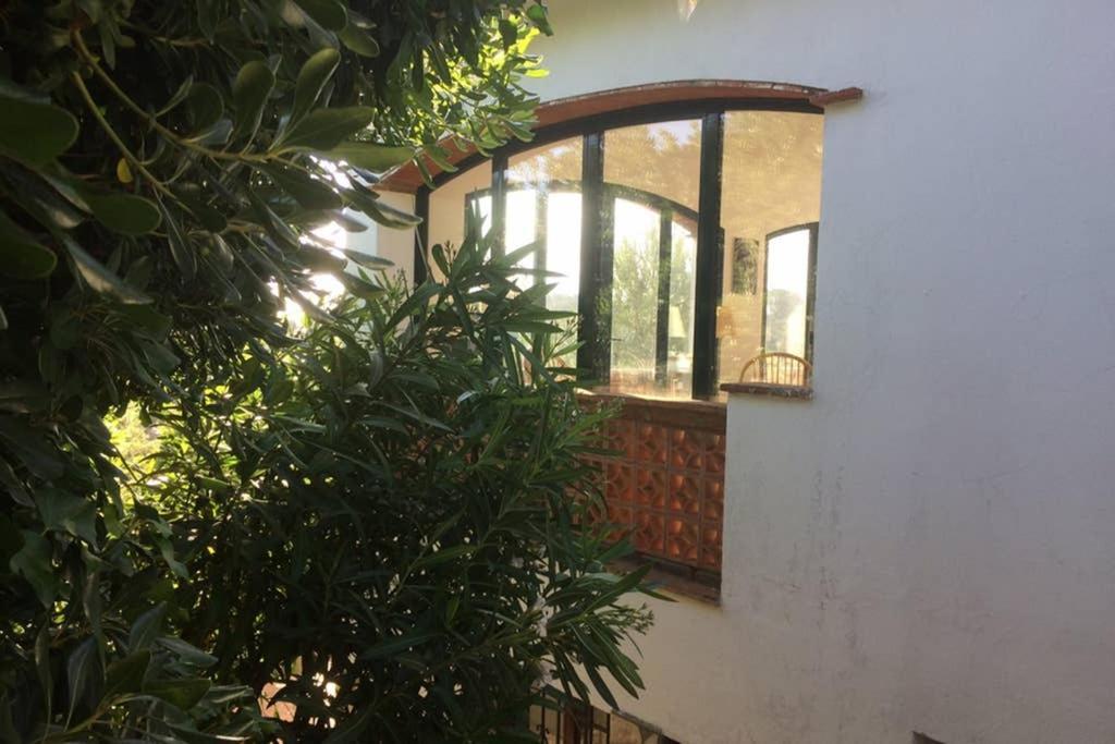 Jolie Villa Vue Mer - 100Km Au Nord De Barcelone - Pals Luaran gambar